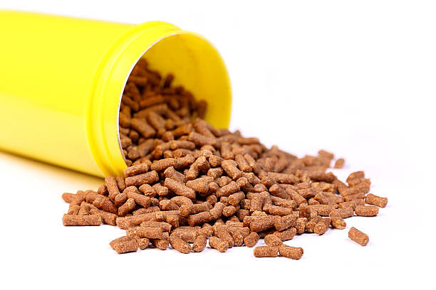 خرید مکمل دامی سیانس + قیمت فروش استثنایی